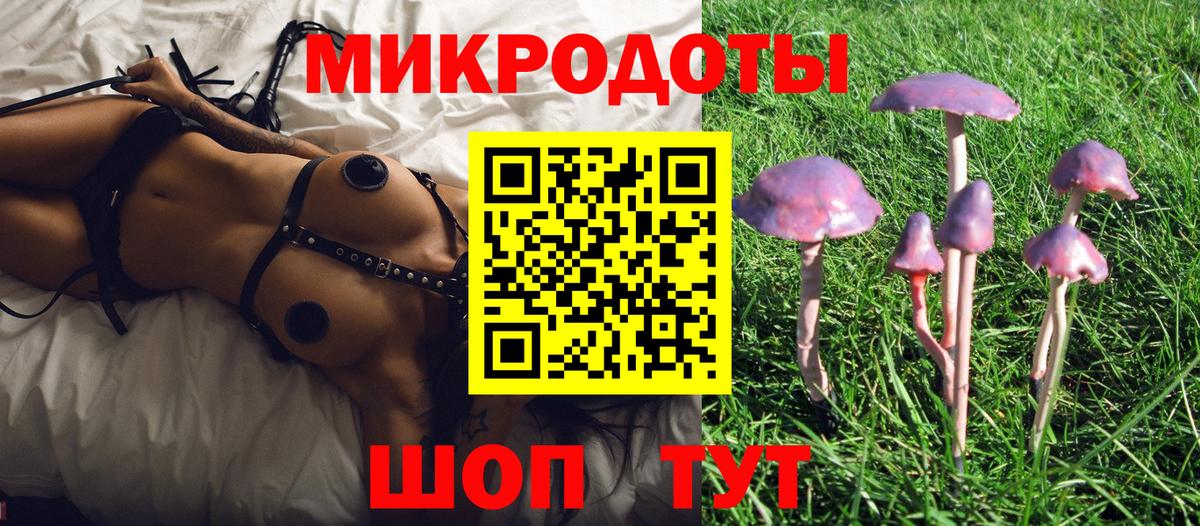 Псилоцибиновые грибы Psilocybine cubensis  Вход с VPN  Менделеевск 